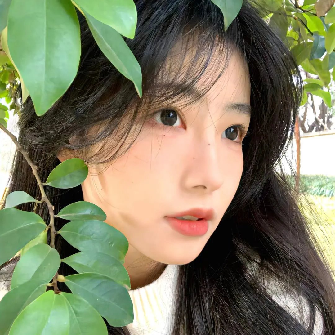 我的巴黎舅舅